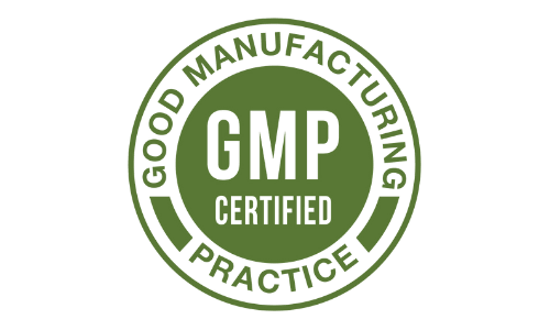 ReNew Dental Support GMP Certified